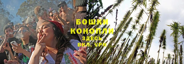 дмт Белокуриха